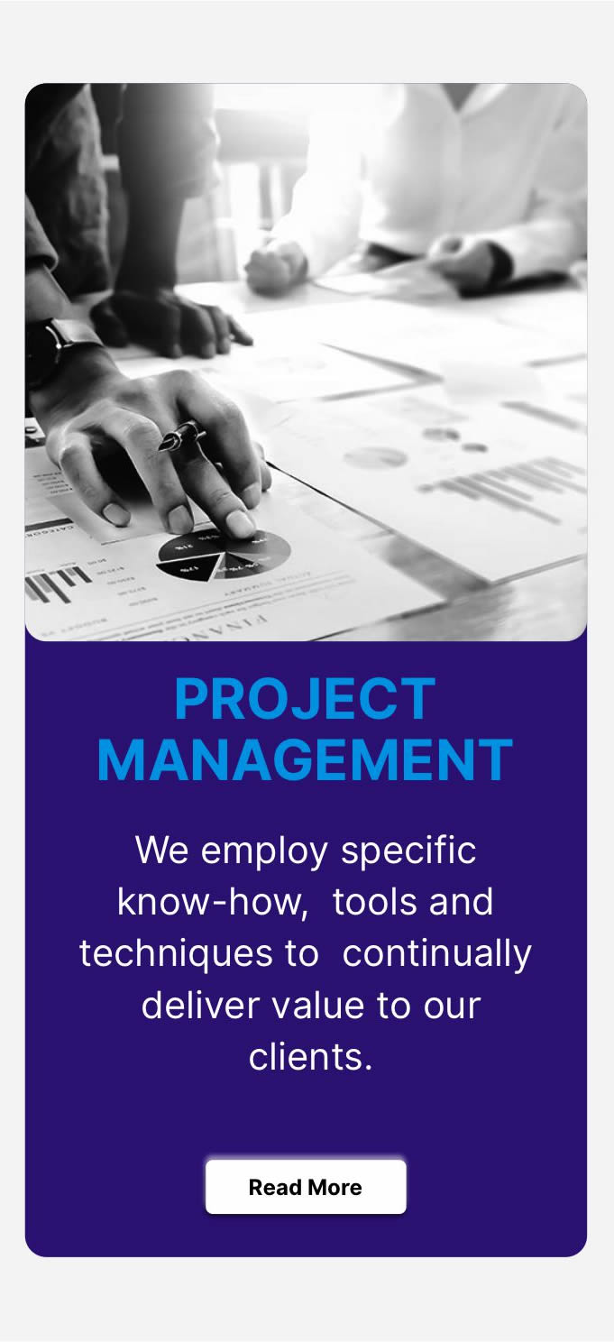 Read More on Our Project Management Service